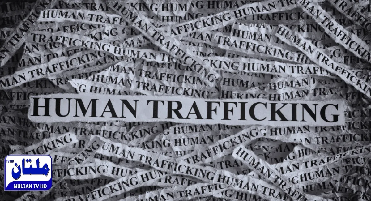 Human Traffickers